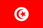 The flag of Tunisia