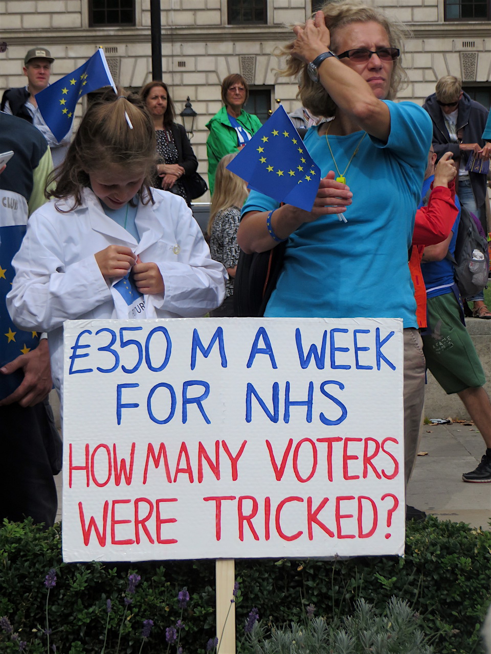 A placard on the March for Europe in London on September 3, 2016 addressing the Leave campaign's most egregious lie - that £350m a week would be saved by leaving the EU, money that would be used to support the NHS (Photo: Andy Worthington).