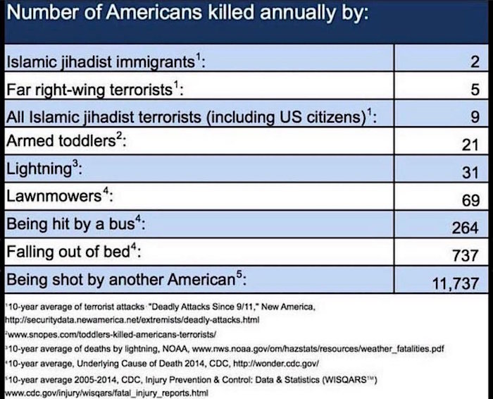 A list of the causes of death in the US, showing how few deaths are caused by terrorists.