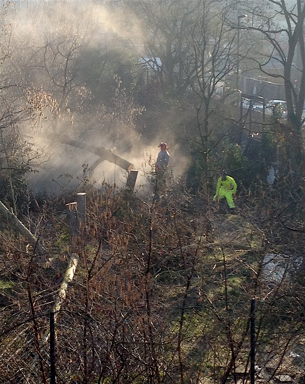 The destruction of the Old Tidemill Wildlife Garden on February 27, 2019 (photo by David Aylward).