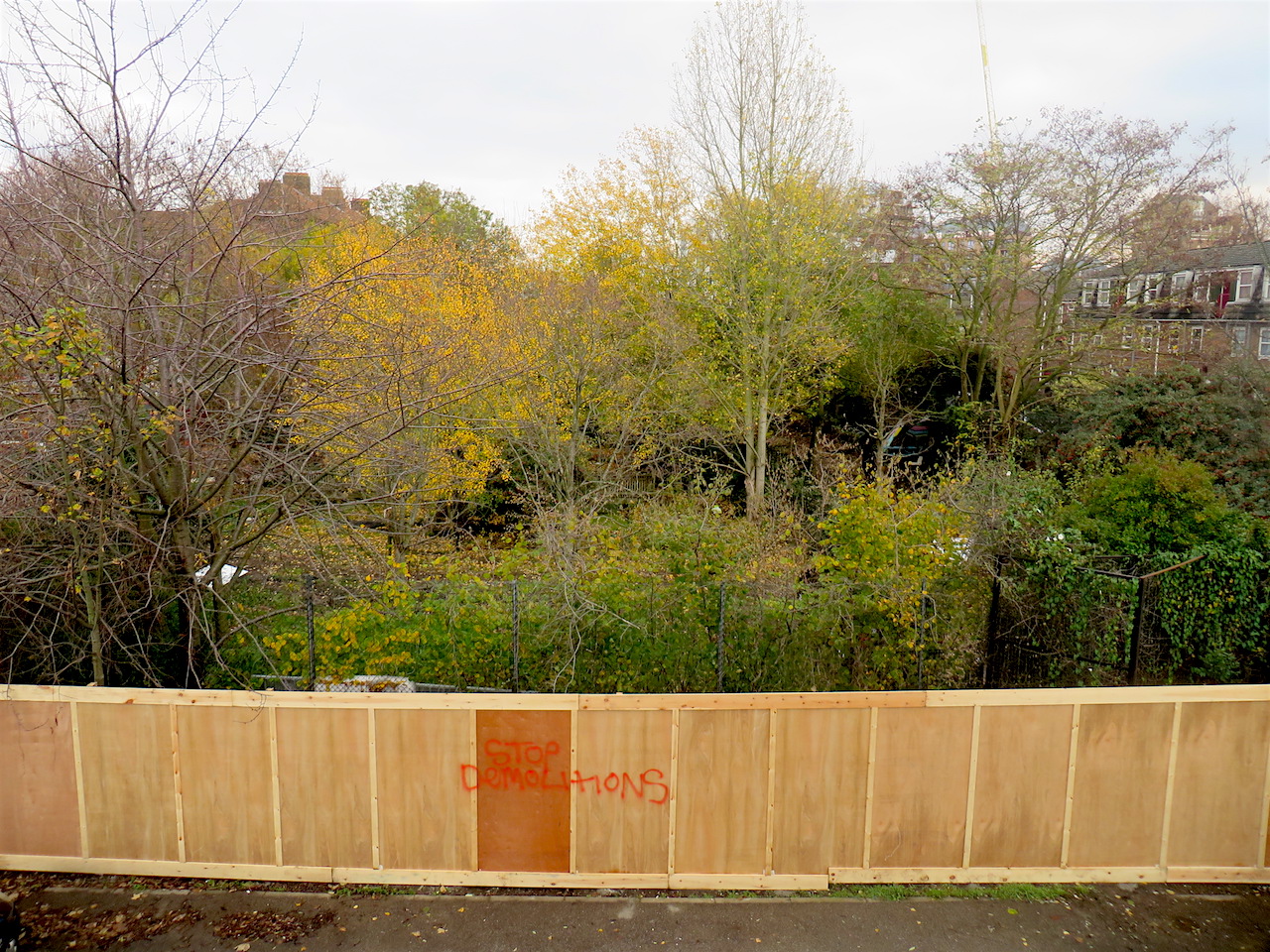 The Old Tidemill Wildlife Garden as viewed from the top balcony of Reginald House in Deptford on November 21, 2018 (Photo: Andy Worthington).